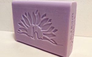 "EPILEPSIE, LAVONS LES PRÉJUGÉS" : (…)